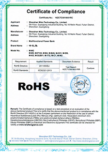 Compression Boots-ROSE